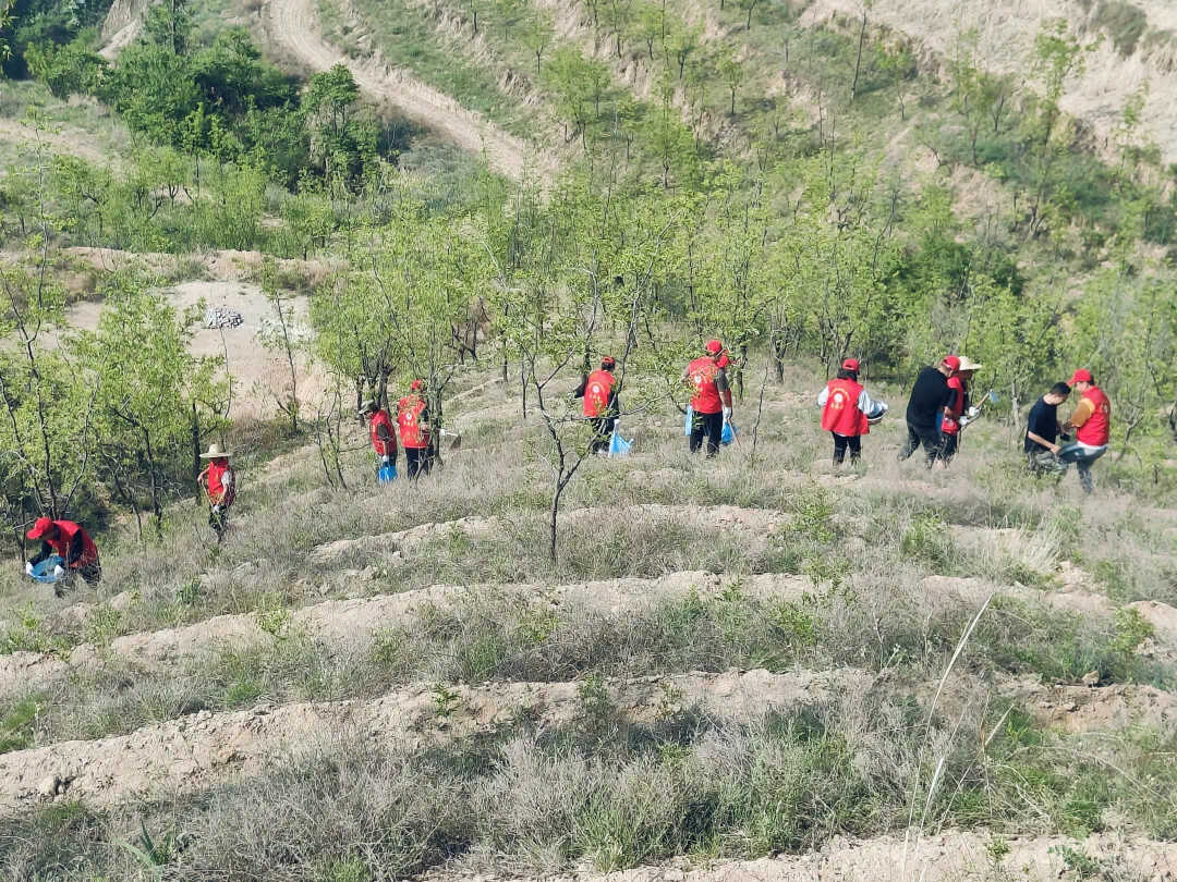 微信图片_20240510103007.jpg
